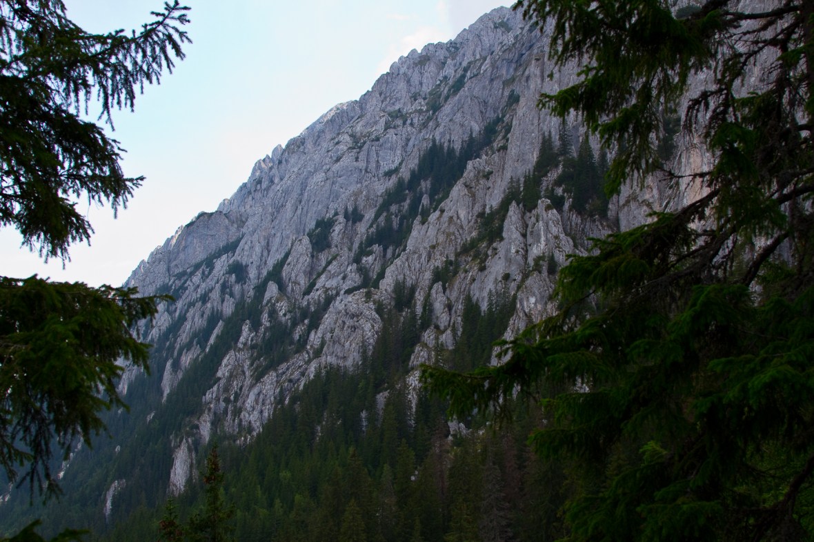 P_Craiului_003_abruptul vazut dela Spirlea