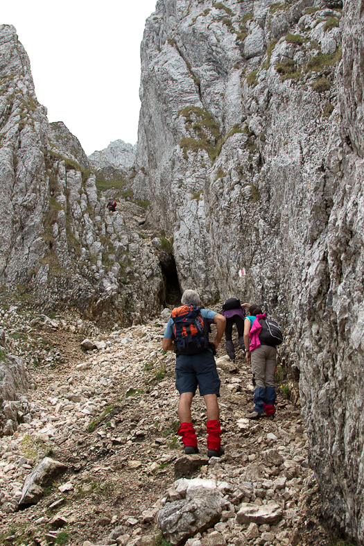 P_Craiului_014_Hornuri Inlantzuite