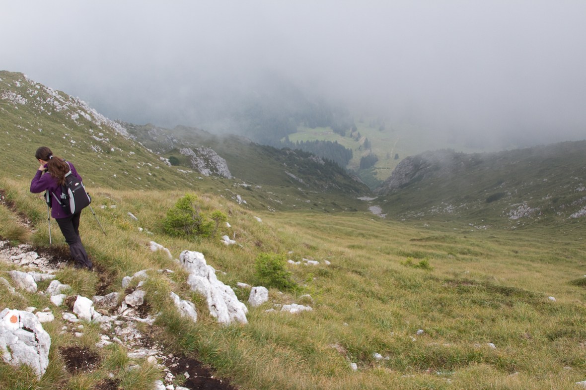 P_Craiului_030_spre est poiana din Grind