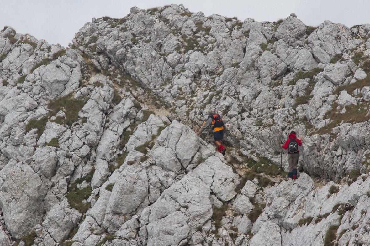 P_Craiului_032_cararea ingusta_1