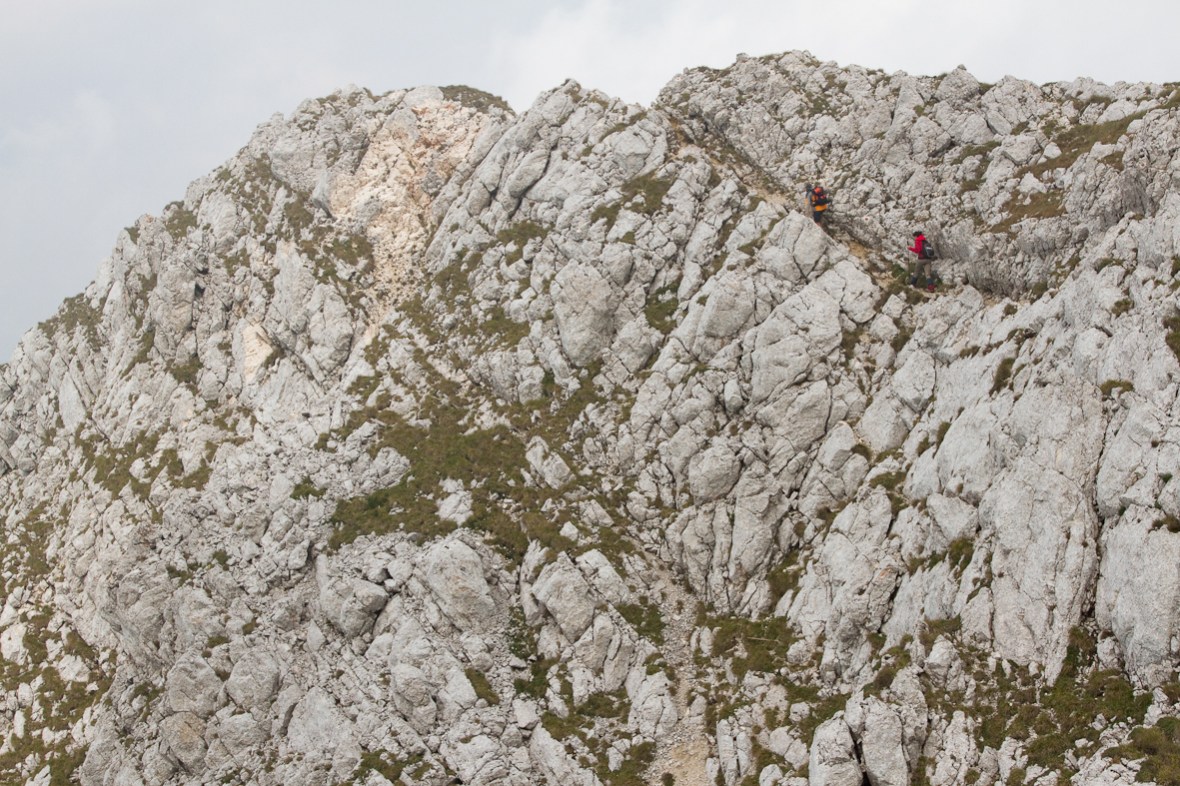 P_Craiului_032_cararea ingusta_2