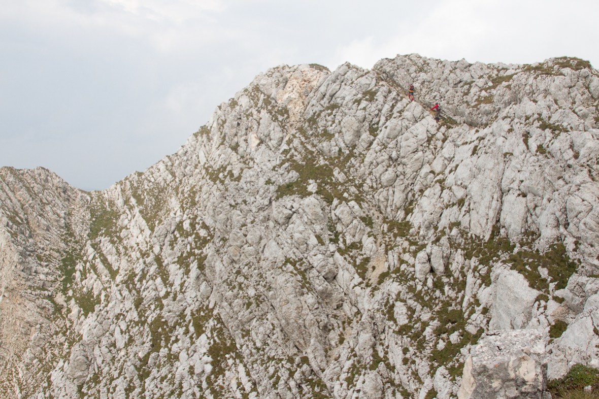 P_Craiului_032_cararea ingusta_3