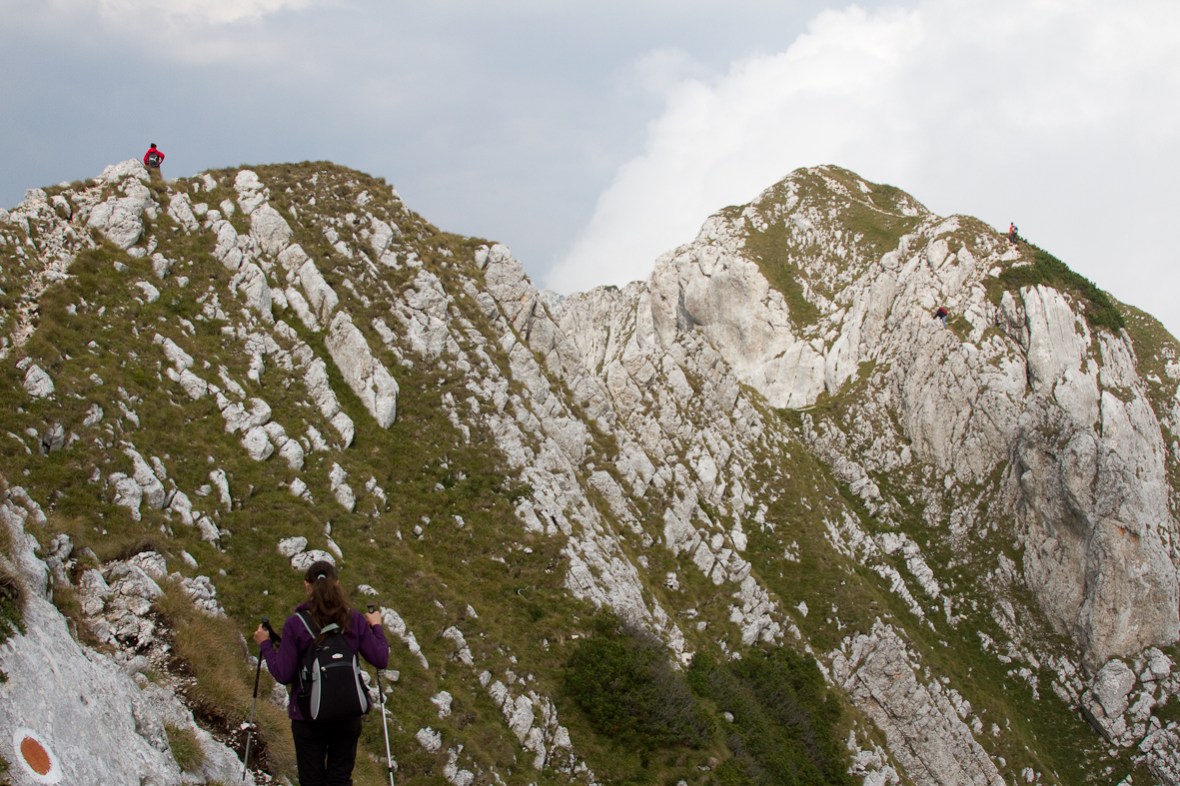 P_Craiului_034_insirati pe creasta