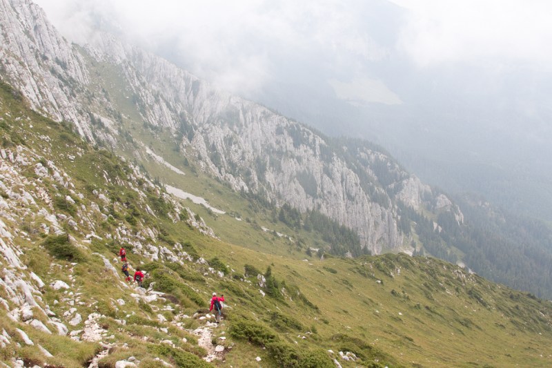 P_Craiului_039_poiana de la curmatura printre ceturi