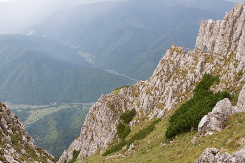 P_Craiului_043_vedere spre Plaiul Foii