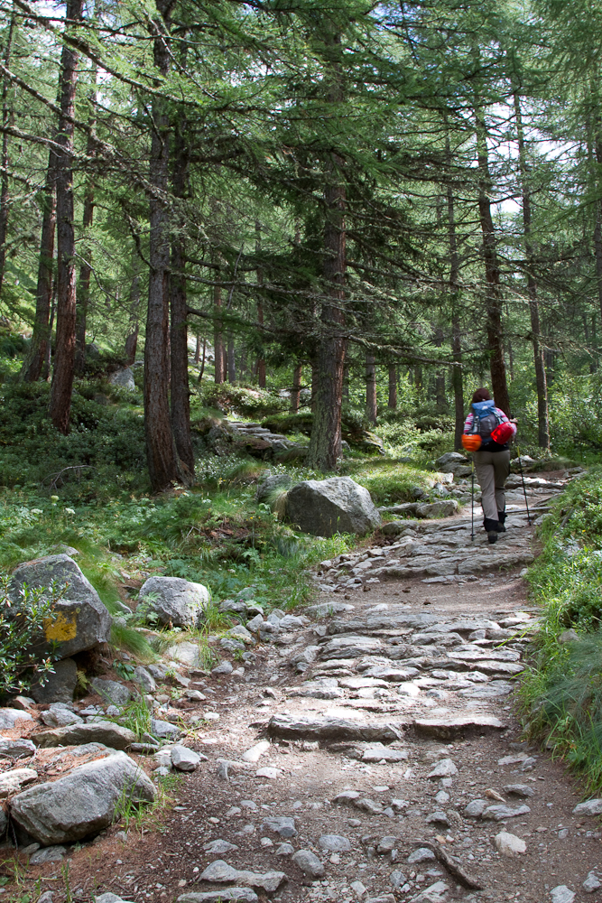 Gran_Paradiso_sep13_004_incepe poteca amenajata
