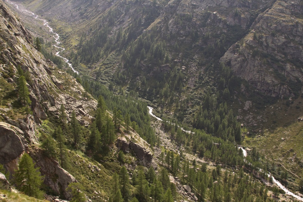 Gran_Paradiso_sep13_006_vedere spre Torentul Savara 2