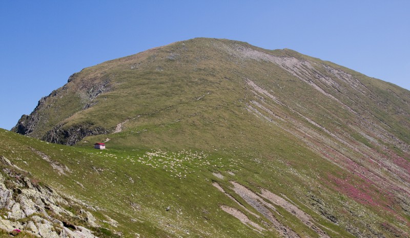 Vf Moldoveanu_011_urcam spre saua