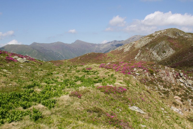 Vf Moldoveanu_022_Platoul Galbena