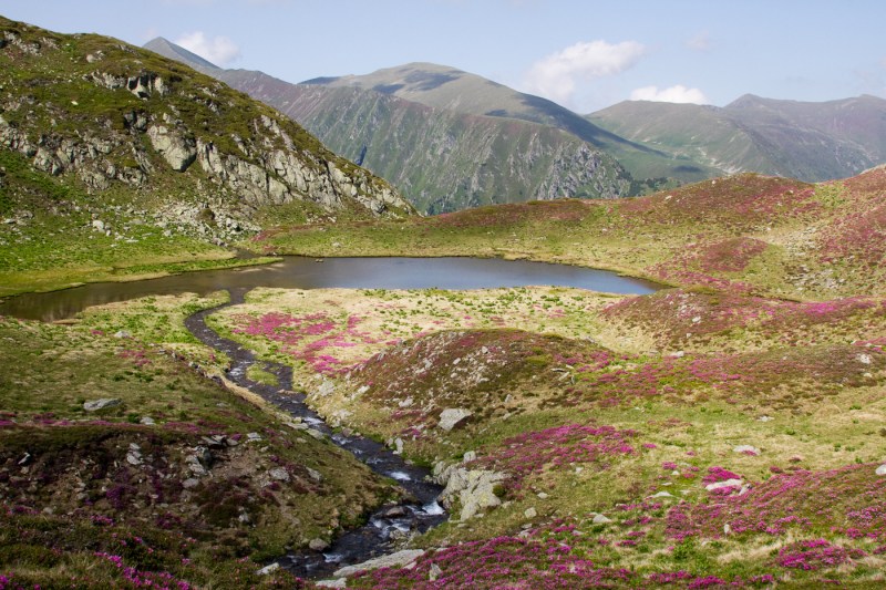Vf Moldoveanu_023_Lac in Caldarea Galbena 4