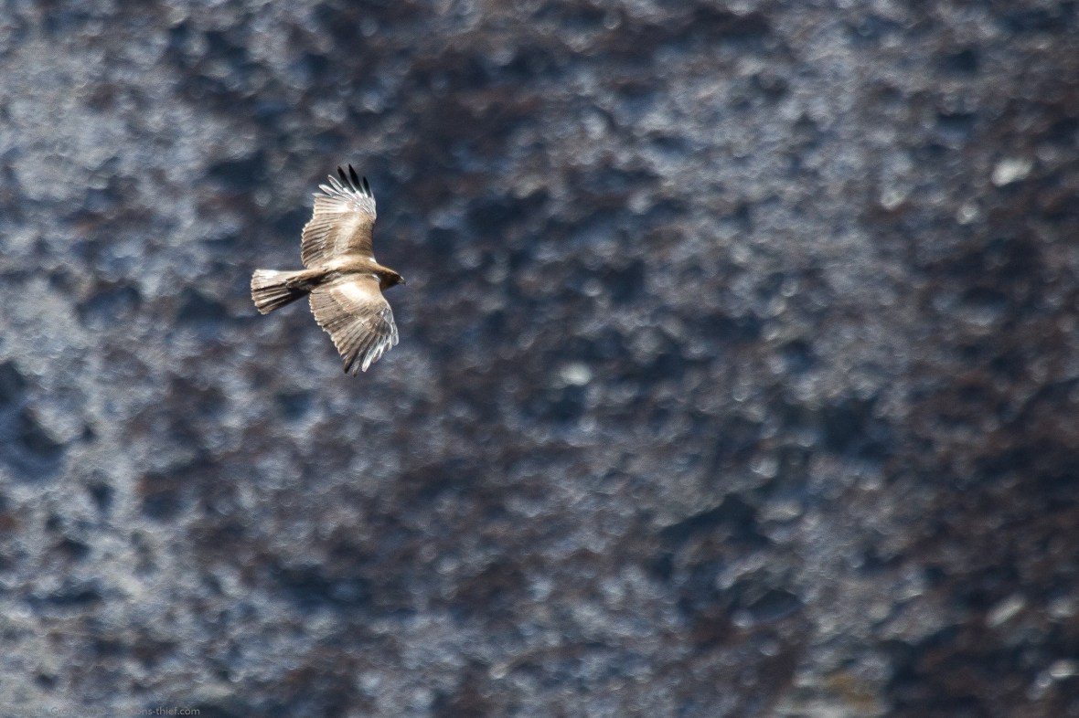 Dingboche _23apr19 sorecar necunoscut 02 fb