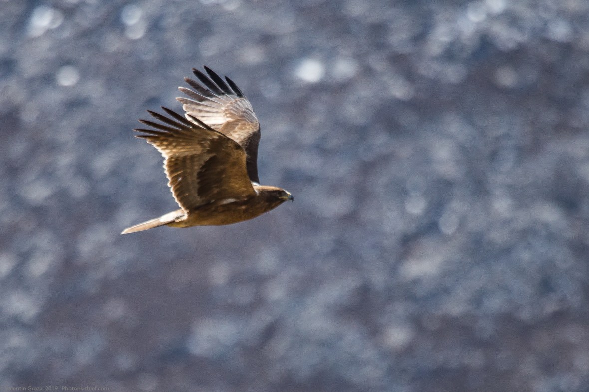 Dingboche _23apr19 sorecar necunoscut 04 fb
