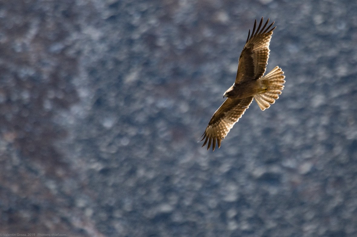 Dingboche _30apr19 sorecar necunoscut 01 fb